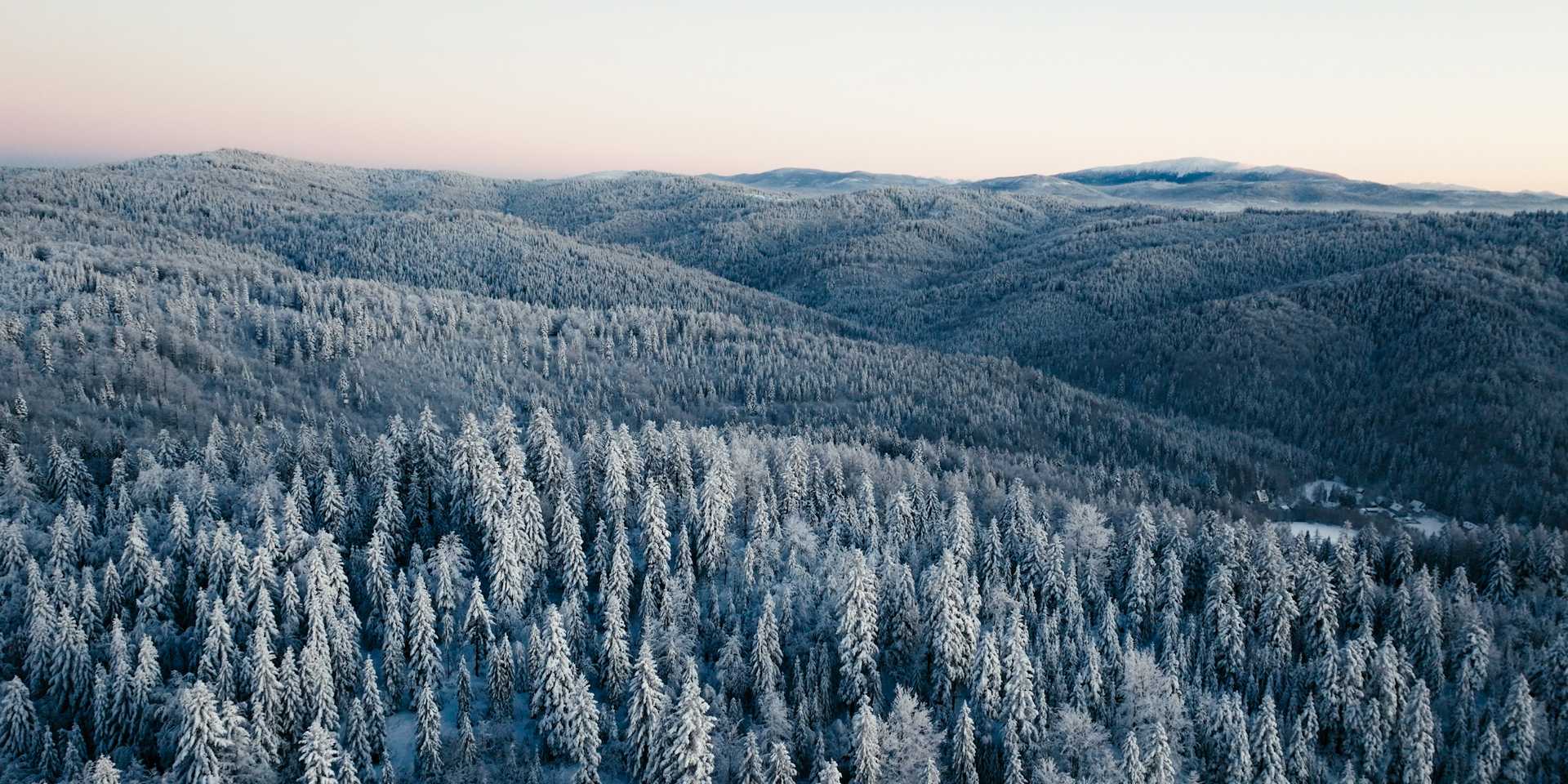 Krajobraz lasu w górach zimą